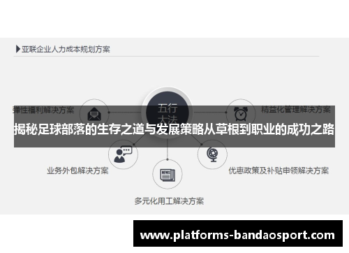 揭秘足球部落的生存之道与发展策略从草根到职业的成功之路
