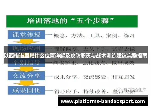 以西格诺里踢什么位置详解及攻防职责与战术训练建议完整指南