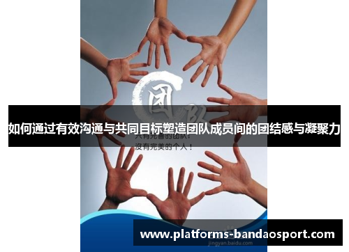 如何通过有效沟通与共同目标塑造团队成员间的团结感与凝聚力