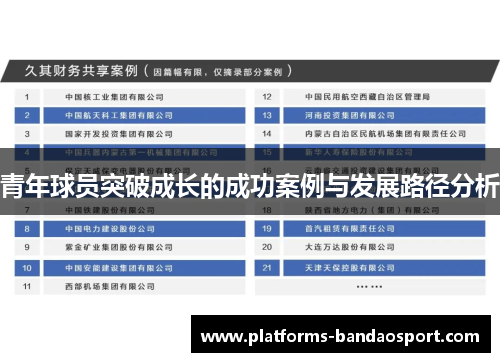 青年球员突破成长的成功案例与发展路径分析