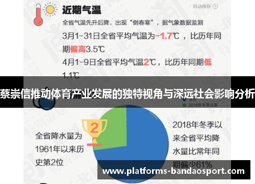 蔡崇信推动体育产业发展的独特视角与深远社会影响分析