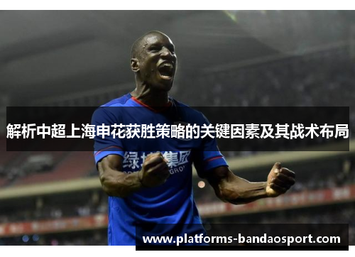 解析中超上海申花获胜策略的关键因素及其战术布局